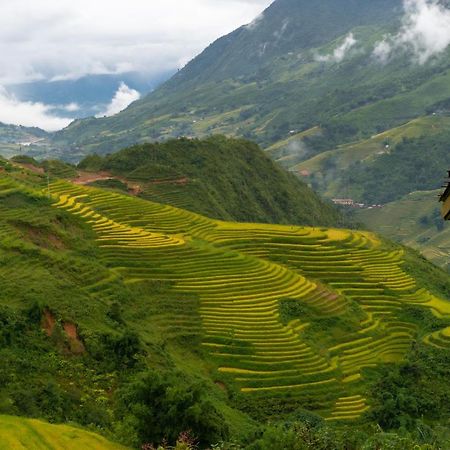 Sapa Eco-Home - Mountain Retreat 外观 照片